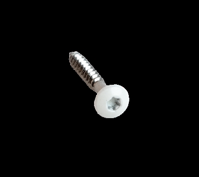 Hvite Skruer 4,0 x 30 mm TX20 - 50 stk.